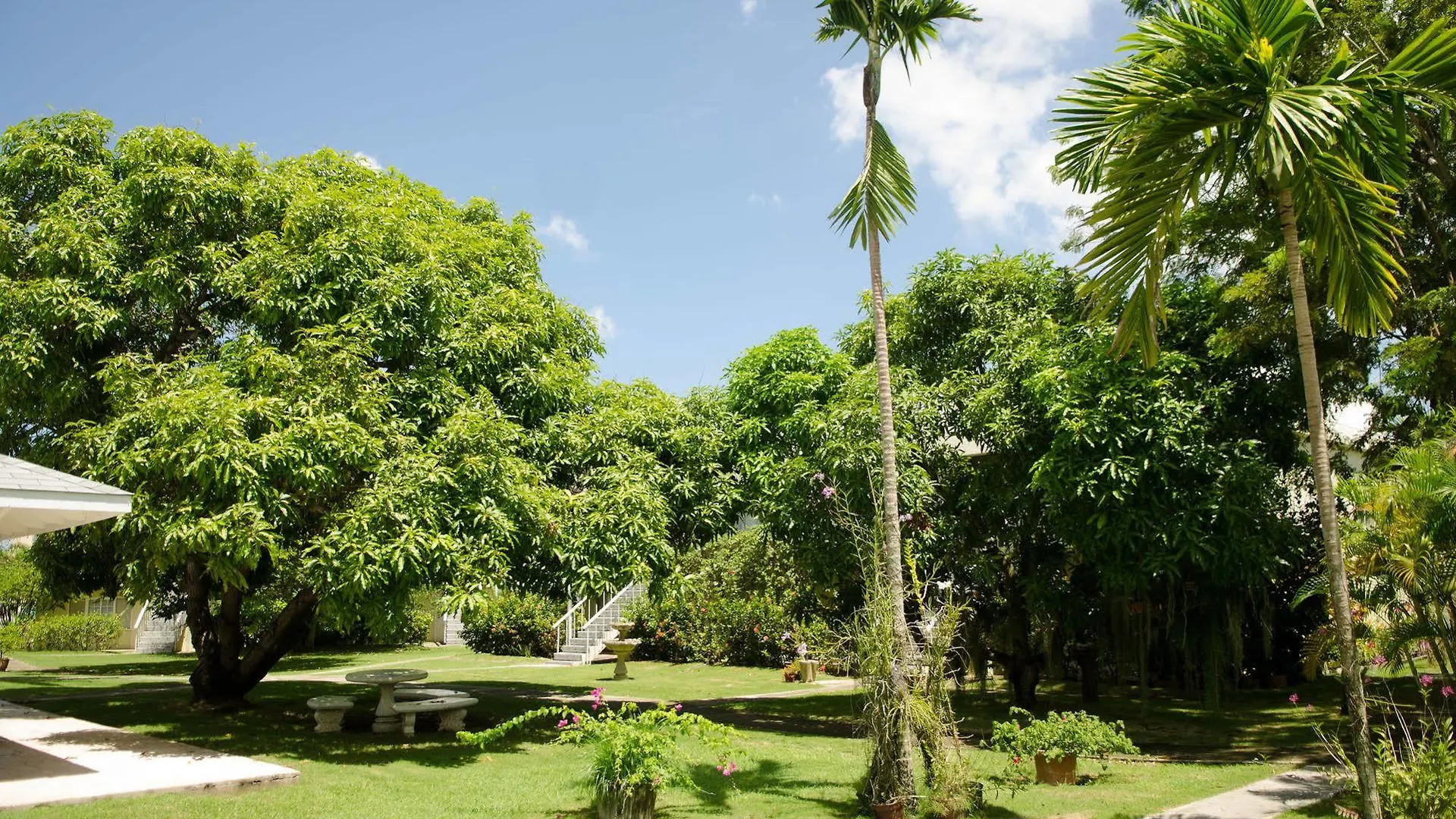 Hotel Casa Marina Montego Bay At Seawind