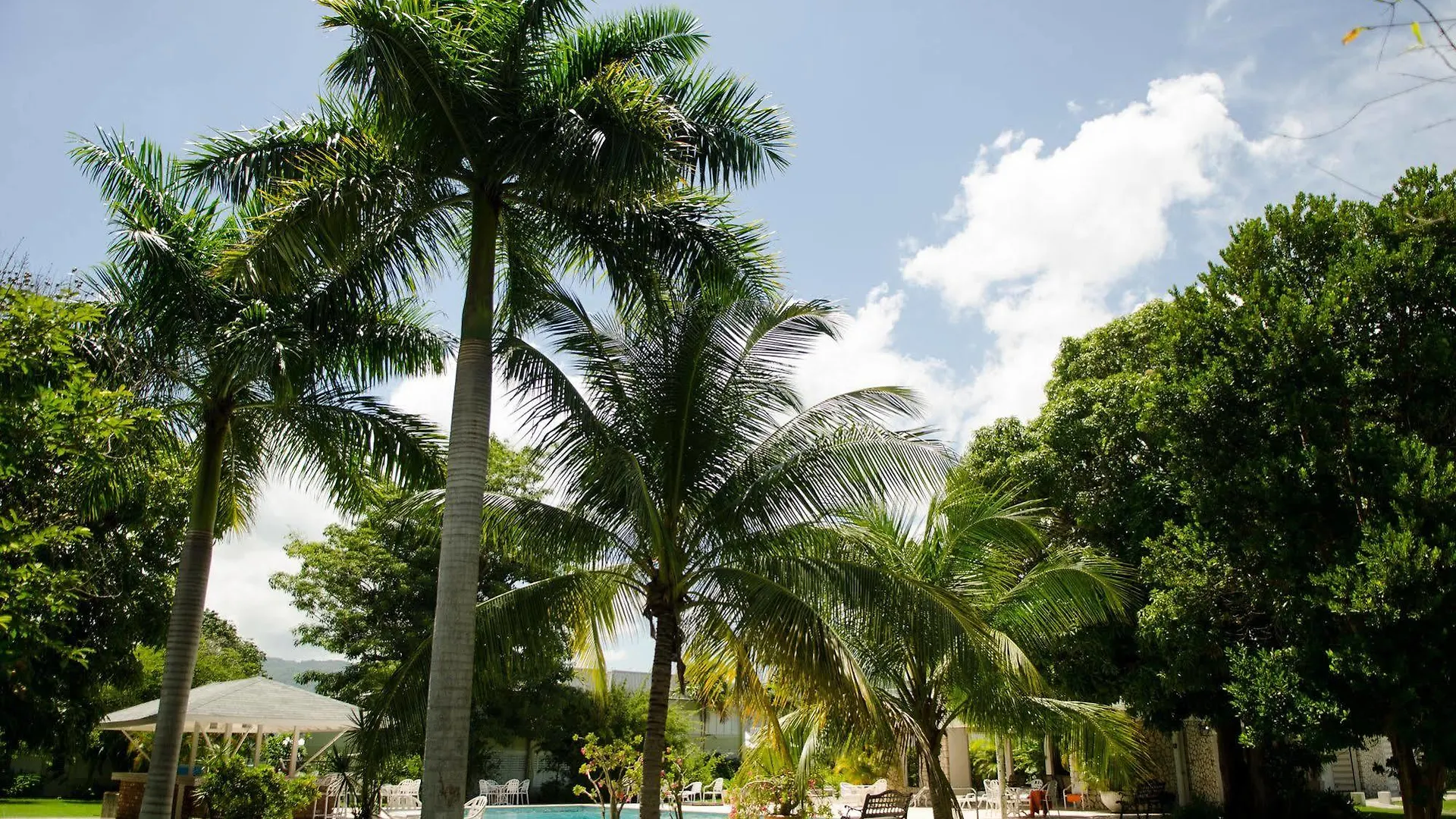 Casa Marina Montego Bay At Seawind Hotel