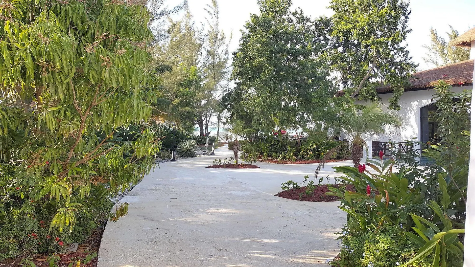 Casa Marina Montego Bay At Seawind Hotel Jamaica